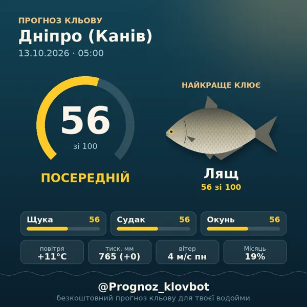 Картинка-прогноз з бота: Дніпро (Канів), індекс 56