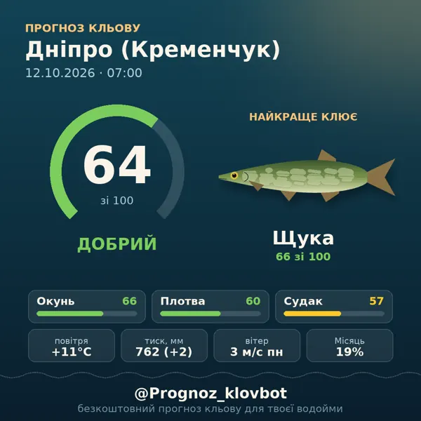 Картинка-прогноз з бота: Дніпро (Кременчук), індекс 60