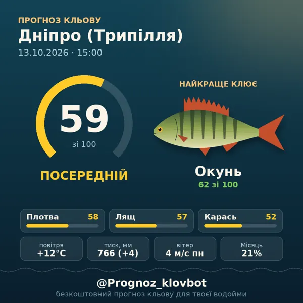 Картинка-прогноз з бота: Дніпро (Трипілля), індекс 59