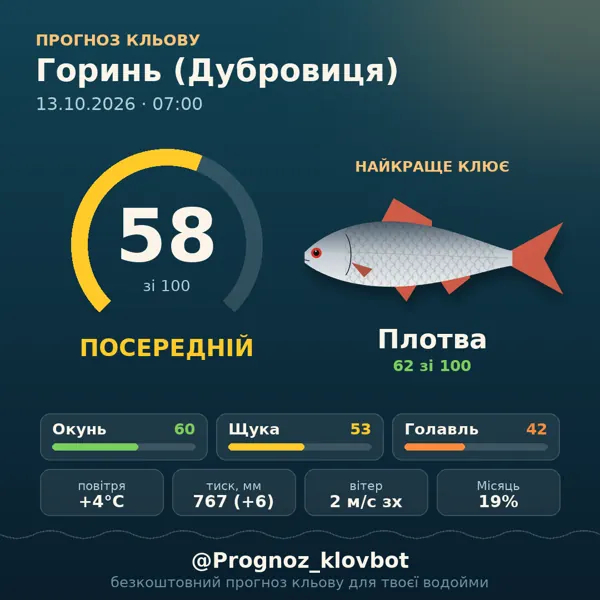 Картинка-прогноз з бота: Горинь (Дубровиця), індекс 58
