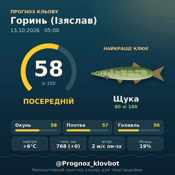 Картинка-прогноз з бота: Горинь (Ізяслав), індекс 58