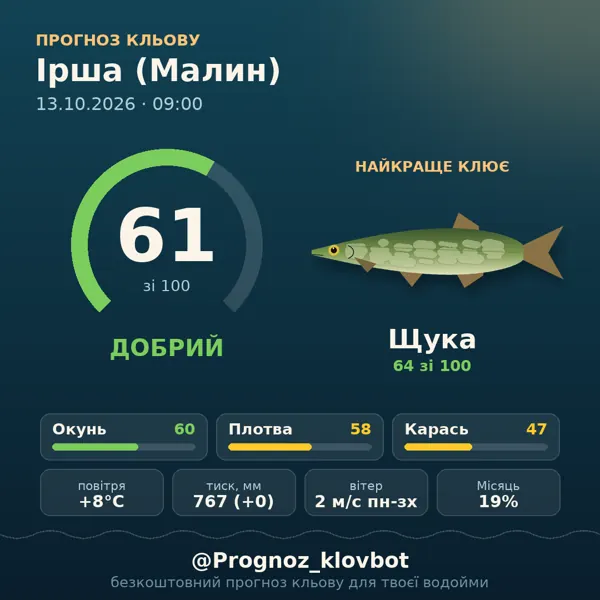 Картинка-прогноз з бота: Ірша (Малин), індекс 61