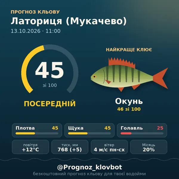 Картинка-прогноз з бота: Латориця (Мукачево), індекс 45