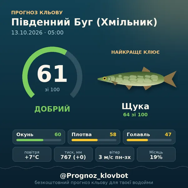 Картинка-прогноз з бота: Південний Буг (Хмільник), індекс 61
