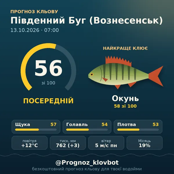Картинка-прогноз з бота: Південний Буг (Вознесенськ), індекс 56