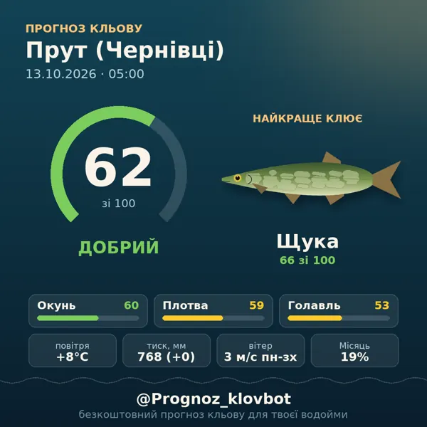Картинка-прогноз з бота: Прут (Чернівці), індекс 62