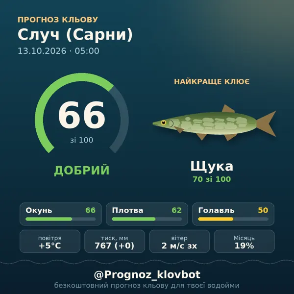 Картинка-прогноз з бота: Случ (Сарни), індекс 66