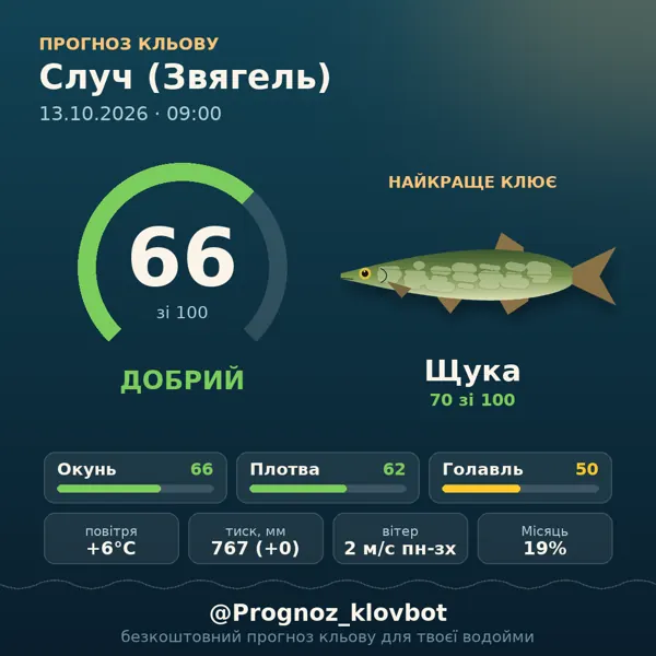 Картинка-прогноз з бота: Случ (Звягель), індекс 66