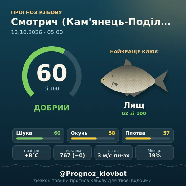 Картинка-прогноз з бота: Смотрич (Кам'янець-Подільський), індекс 60