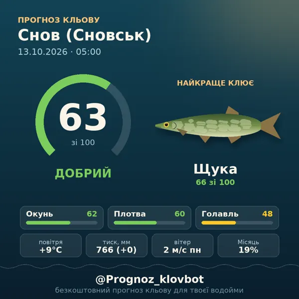 Картинка-прогноз з бота: Снов (Сновськ), індекс 63