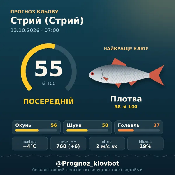 Картинка-прогноз з бота: Стрий (Стрий), індекс 55