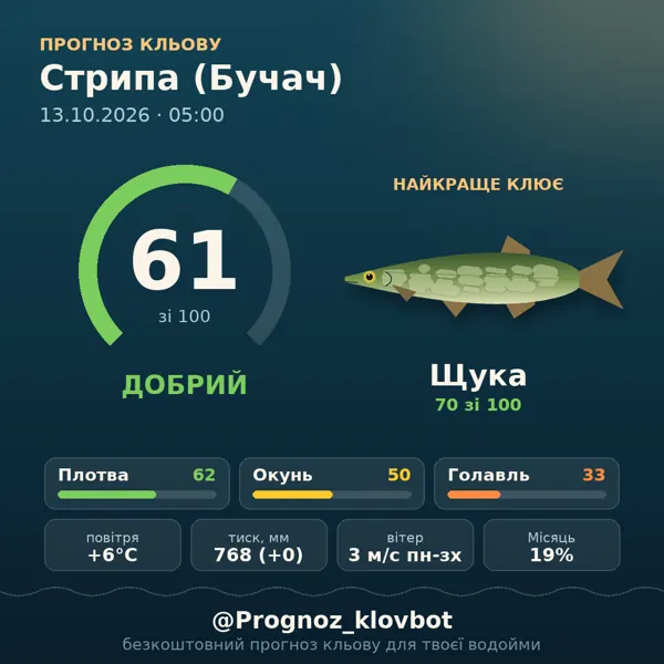 Картинка-прогноз з бота: Стрипа (Бучач), індекс 61