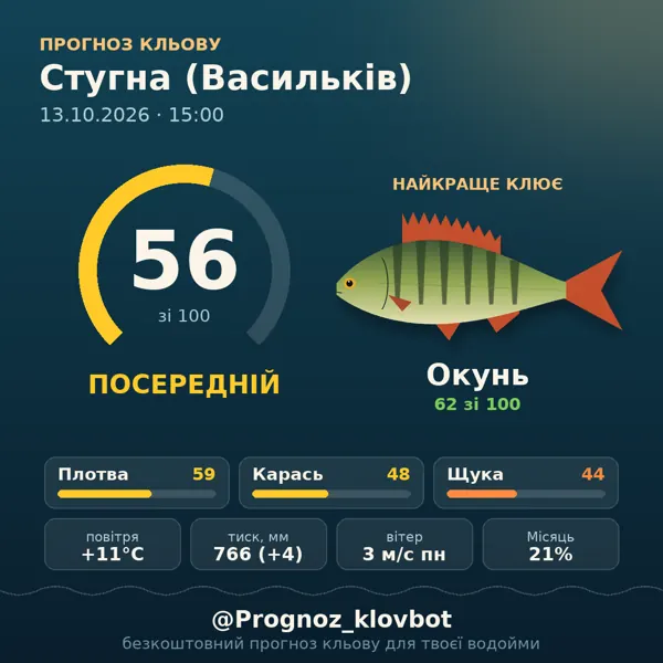 Картинка-прогноз з бота: Стугна (Васильків), індекс 56