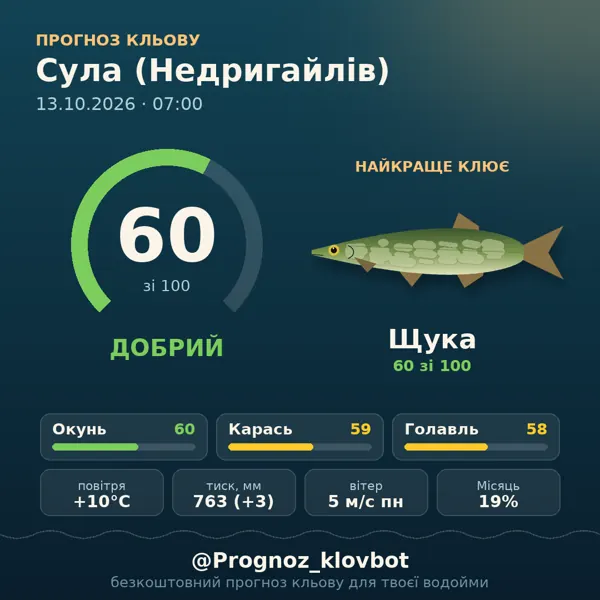 Картинка-прогноз з бота: Сула (Недригайлів), індекс 60