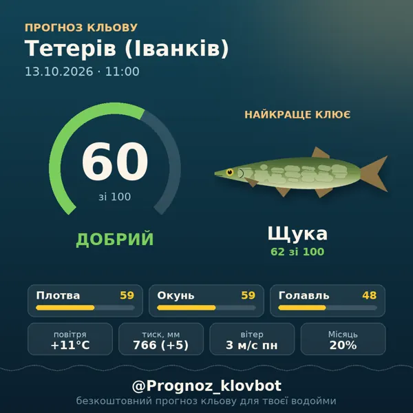 Картинка-прогноз з бота: Тетерів (Іванків), індекс 60