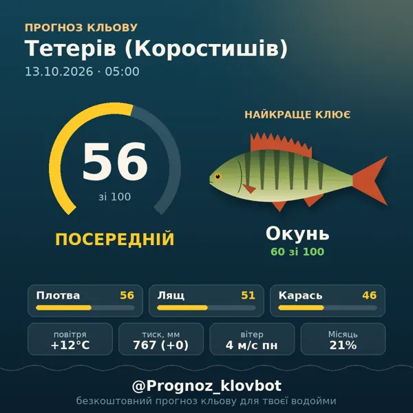 Картинка-прогноз з бота: Тетерів (Коростишів), індекс 57