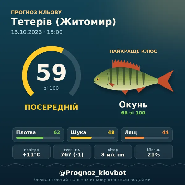 Картинка-прогноз з бота: Тетерів (Житомир), індекс 59