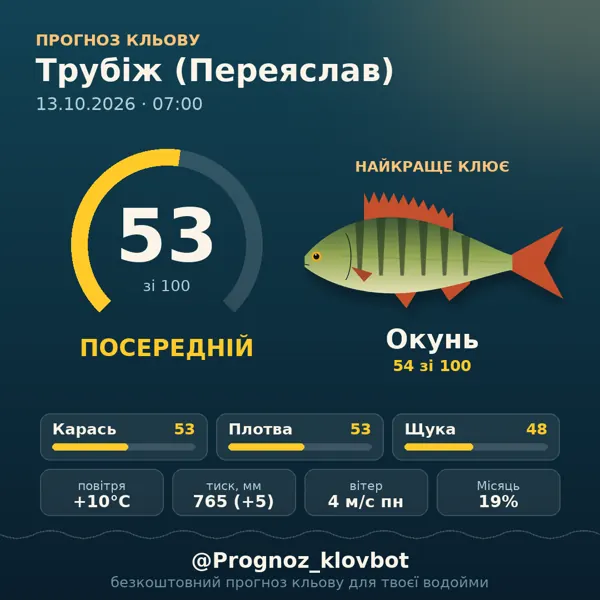 Картинка-прогноз з бота: Трубіж (Переяслав), індекс 53