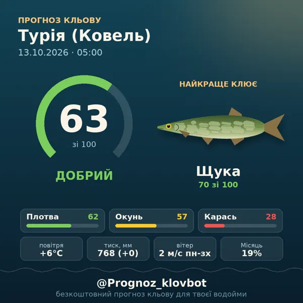 Картинка-прогноз з бота: Турія (Ковель), індекс 63