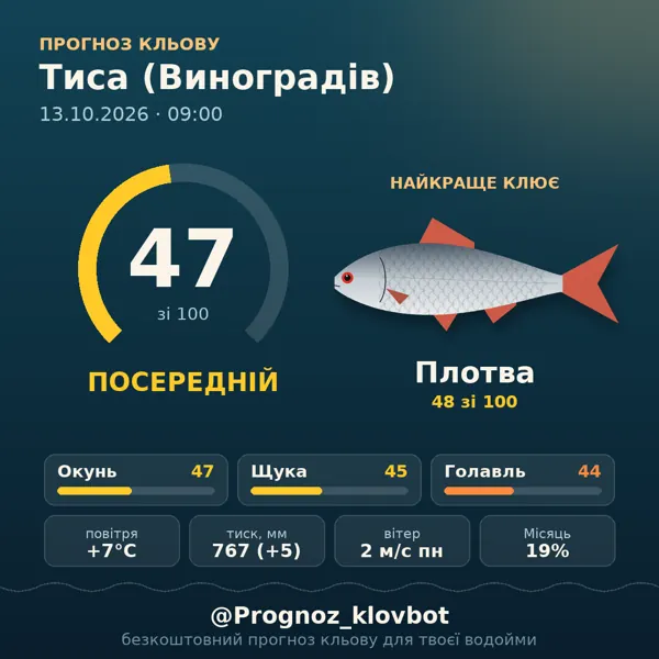 Картинка-прогноз з бота: Тиса (Виноградів), індекс 47