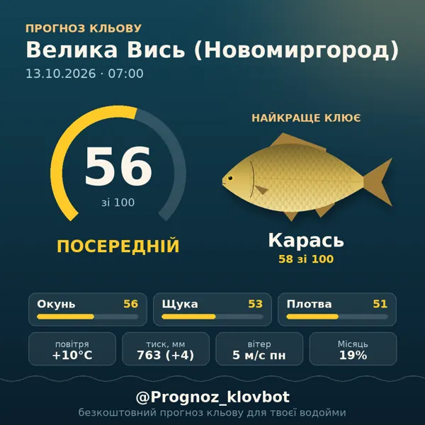 Картинка-прогноз з бота: Велика Вись (Новомиргород), індекс 56