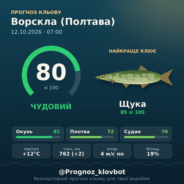 Картинка-прогноз з бота: Ворскла (Полтава), індекс 80