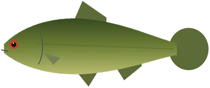 Лин